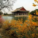 커피나라 이미지