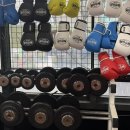 엘복싱 | 야탑 엘복싱 다녀 온 후기(시설부터 분위기까지 솔직 리뷰)🥊