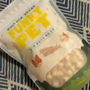 펑키펫(Funky pet) 이미지