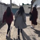 가든하이로 네이버블로그