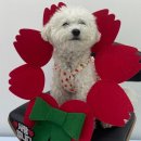 놀러오개 송파점 이미지