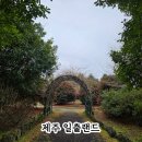 표선 청소년문화의 집 주차장 | 제주 일출랜드 후기｜미천굴·동백꽃 제주동쪽여행 추천