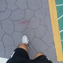 GS가야롯데골드점 앞 | [와일드터키] 골드포일 원정대 사가(코스트코 부산점...16년, 직득 후기, 구할 수 있는 곳, 데일리샷...