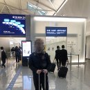 짝국제결혼 이미지