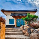 오미골 오리 이미지