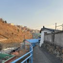 스테이비앤비(STAY BnB) | 강원도 묵호 감성 숙소 추천! “스테이 파랑(Parang stay)”에서 숙박한 내돈내산 솔직후기!