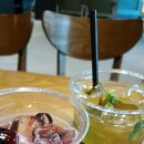 몰디브커피 이미지