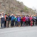 보령성주산과무창포쭈꾸미산행후기 이미지