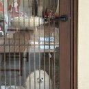 스테이더담 청도청라점 이미지