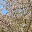 세레나농장 이미지