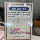 그림책 속으로 퐁당, 만들기 속으로 풍덩(초1) | 부산 초량 과학체험관 이용후기 초등학생 과학 놀이터 추천 / 다자녀 무료