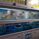썬모텔 | [거제도] 김민정 조개구이