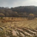 판석농장 이미지