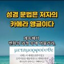 시제가 아니라 ‘관점’이다: 헬라어 동사상 이론으로 성경 읽기 이미지