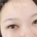 도블리브로우
