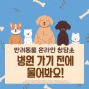 동물병원비아츠