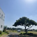 용수길 114 이미지