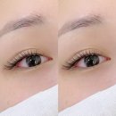 쁨래쉬 네이버블로그