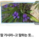 자시산과 자시산성 이미지