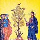 겨자씨이야기 이미지