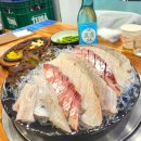 [서울/쌍문역] 미스터빽실장 쌍문본점 &amp; 역전할머니맥주 쌍문역점