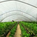 상명농장 이미지