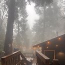 빅 베어 | 미국 LA 근교 여행 빅베어(Big Bear) 에어비엔비 숙소 후기 숲 속 산장 감성