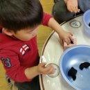 내원어린이집 이미지