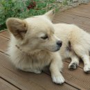 펜션 하늘호수 이미지