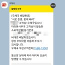 평화문구 | 2026 춘천봄내마라톤 기념품 언박싱 (대회 문구 없는 스케쳐스 티셔츠) 김대중 평화 마라톤 접수