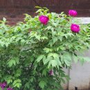 헤이리사거리 이미지