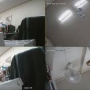 늑대와 여우 이미지