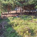 화성공장부동산중개사무소 이미지