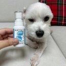 (주)날라주 네이버블로그