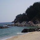 쏠피치 Daum카페