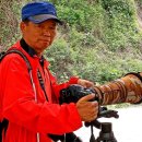 우포따오기 사진전 | 우포늪 사진전-우포사랑 김기춘작가-인사동 마루 갤러리