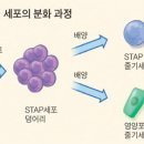 대한이화학 이미지