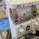 뽑고가요 | [충북/제천] 소품가요 제천점_제천소품샵