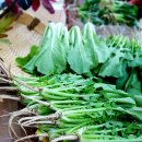 열무농장 이미지