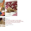 우림아파트 이미지