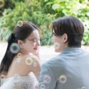 라보네르나나 이미지
