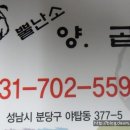 뿔난소