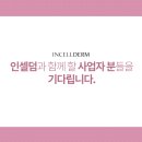 비젼인셀덤