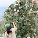 세준농장 이미지