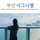 부산 해운대 오션뷰 호텔 5성급 시그니엘 부산 (feat. 시그니엘 프리미어 패밀리 트윈 오션뷰)