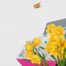 옥천골미술관 이미지