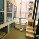 현풍동물병원 이미지