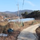 김종문농장 Daum카페