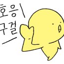 새가야밀면 네이버블로그