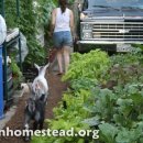 세련농장 이미지